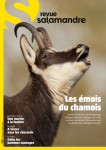 Salamandre, n°261 - décembre 2020- janvier 2021 - Les émois du chamois