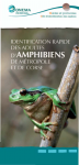 Identification rapide des adultes d'amphibiens de métropole et de Corse