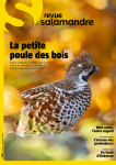 Salamandre, n° 278 - Octobre - Novembre 2023 - La petite poule des bois