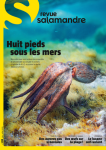 Salamandre, n°288 - juin-juillet 2025 - Huit pieds sous les mers