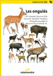 Miniguide de 